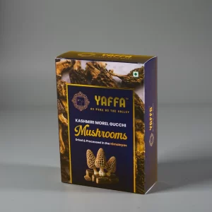 Kashmiri Wild Morel Gucchi Mushrooms