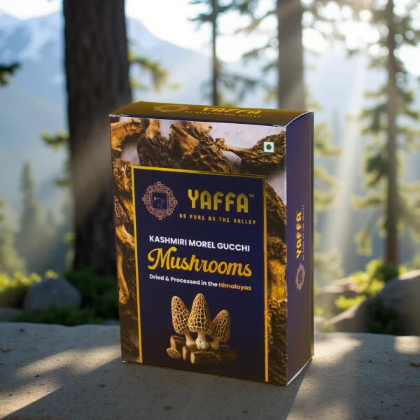 Kashmiri Wild Morel Gucchi Mushrooms