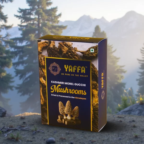 Kashmiri Wild Morel Gucchi Mushrooms