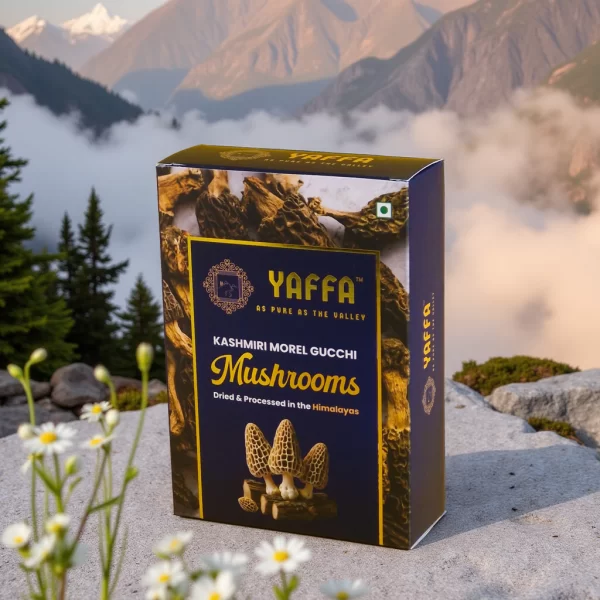 Kashmiri Wild Morel Gucchi Mushrooms